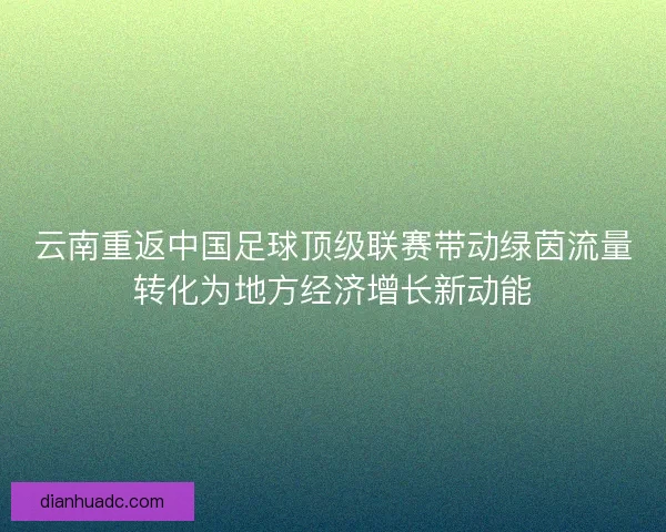 云南重返中国足球顶级联赛带动绿茵流量转化为地方经济增长新动能